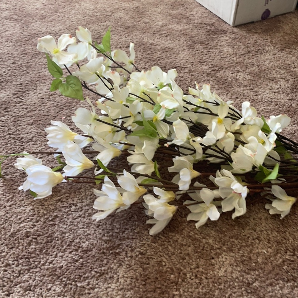 4 Stems